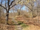 187 Harding Ter Dedham, MA 02026 - Image 12022225