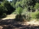 0 McPeak Rd Forestville, CA 95436 - Image 12026681