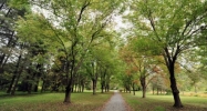 Lot 2 Windover Lane Doylestown, PA 18901 - Image 12028255