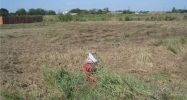 1200 Mcmillen Dr Lockhart, TX 78644 - Image 12119686