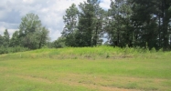 0 TEEM ROAD Cullman, AL 35057 - Image 12130435