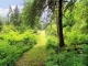 817 Tolt River Rd Carnation, WA 98014 - Image 12153603