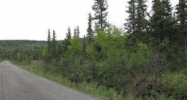 Tr C-1 B2V Nickleen Street Anchorage, AK 99516 - Image 12158194