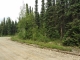 13327 N Canoe Way Willow, AK 99688 - Image 12164233