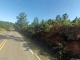 County Road 222 Bremen, AL 35033 - Image 12224593