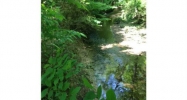 1250 Pond Springs Trace Sw Lilburn, GA 30047 - Image 12261301