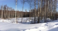 945 Luthers Loop Fairbanks, AK 99709 - Image 12270972