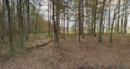 County Road 27 Sylvania, AL 35988 - Image 12348814