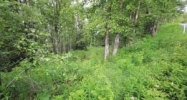 11108 Steeple Drive Eagle River, AK 99577 - Image 12357955