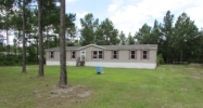 58 Moss Tree Rd Hortense, GA 31543 - Image 12419779