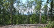 L1 B6 Homestead Road Chugiak, AK 99567 - Image 12456714