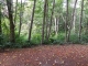 14006 NE 181st Place Unit B104 Woodinville, WA 98072 - Image 12462109