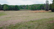 6750 NW HWY 320 Mc Intosh, FL 32664 - Image 12539471