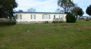 7796  County Rd 109 Lady Lake, FL 32159 - Image 12542092