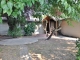 944 Third Street N Central Point, OR 97502 - Image 12608322