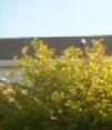 22937 Westwind Dr - Image 12630408