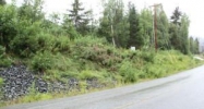 Lot 43 Crow Creek Road Girdwood, AK 99587 - Image 12639253