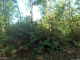 Easterly Ct, Woodbine Ga 31569 Woodbine, GA 31569 - Image 12652450