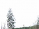 24373 Highway 112 Clallam Bay, WA 98326 - Image 12674550