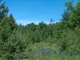 15 Evergreen Franconia, NH 03580 - Image 12732169