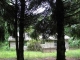 467     Brewer Road Morgantown, WV 26508 - Image 12746131