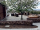 730 Encanto Drive Sparks, NV 89441 - Image 12786448