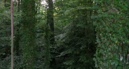 1314 Valley View Road Atlanta, GA 30338 - Image 12823251