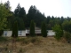 799 Raleigh Drive Winston, OR 97496 - Image 12849803