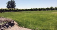 875 Tulip Lane Richland, WA 99352 - Image 12855427