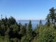 8260 53rd Ave W #308 Mukilteo, WA 98275 - Image 12859977