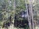 3414X 38th AVe NW Gig Harbor, WA 98335 - Image 12870155