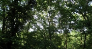 862 Lake Arrowhead Drive Waleska, GA 30183 - Image 12905753