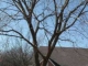 13150 Old 66 Arcadia, OK 73007 - Image 12914506