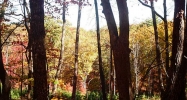 3341 Bluestern Drive Jasper, GA 30143 - Image 12933788