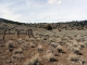 00 Dry Lake Circle Virginia City, NV 89440 - Image 12943755