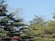 10020 PAGES CT New York, NY 10020 - Image 12957187