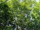 424 Woods Hole Rd Woods Hole, MA 02543 - Image 12993152