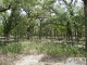 1964 Jeter Road W W Argyle, TX 76226 - Image 13029336