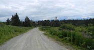 L41 Fireweed Avenue Homer, AK 99603 - Image 13101413