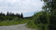 170 Whispering Meadows Avenue Homer, AK 99603 - Image 13101416