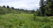 L42 Fireweed Avenue Homer, AK 99603 - Image 13101415