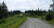 129 Whispering Meadows Avenue Homer, AK 99603 - Image 13101424