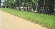 County Road #328 Bono, AR 72416 - Image 13101461