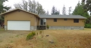 18240 Applegate Street SW Rochester, WA 98579 - Image 13107332
