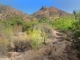 10 Acorn Lane Patagonia, AZ 85624 - Image 13130228