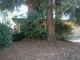 9 Blue Heron Court Sacramento, CA 95833 - Image 13154805