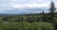 Tr. 8A West Highlands Boulevard Homer, AK 99603 - Image 13191390