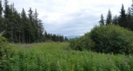 190 Tulin Bluff West Court Homer, AK 99603 - Image 13203298