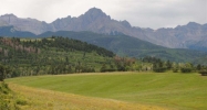 TBD County Rd 5 Ridgway, CO 81432 - Image 13240384