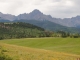TBD County Rd 5 Ridgway, CO 81432 - Image 13243654